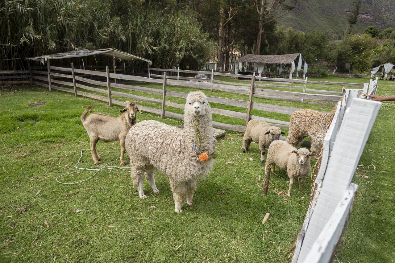 The Sacred Valley Lodge - Hotel Cusco Yucay Buitenkant foto
